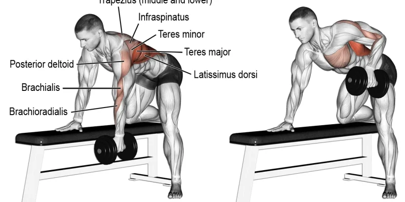 Top 18 Alternating Front Raises: Boost Your Shoulder Workout