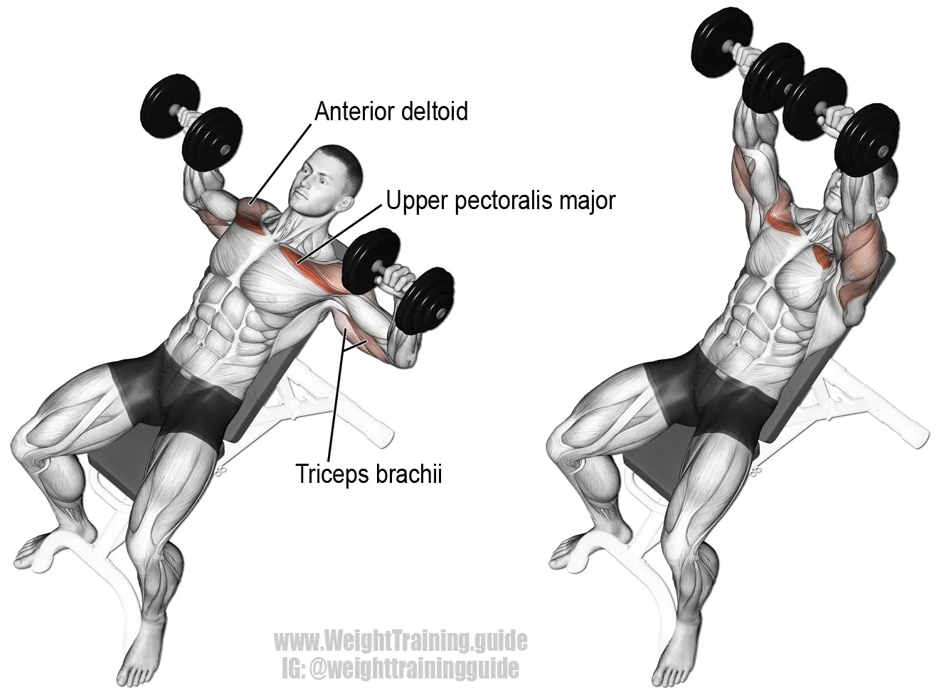 7. Variations of Alternating Front Raises