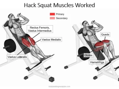 10 Best Reverse Hack Squat Alternatives You'll Love