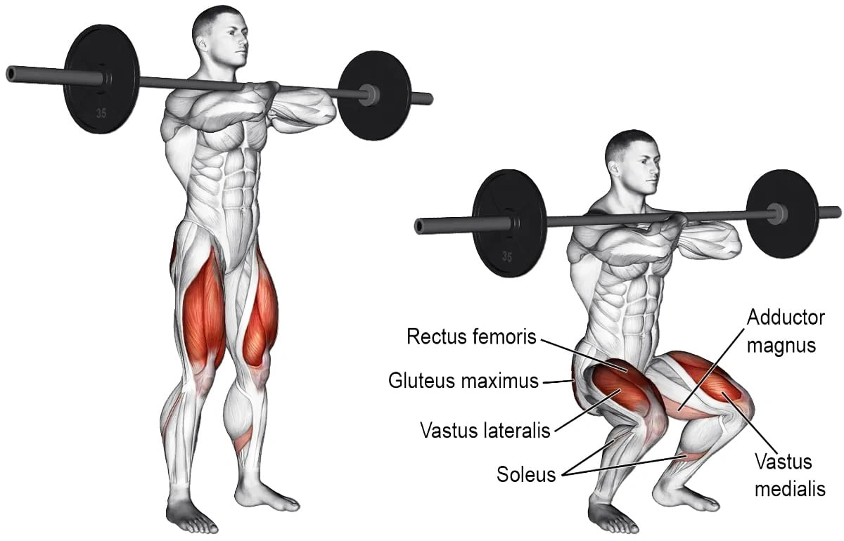 1. Front Squats