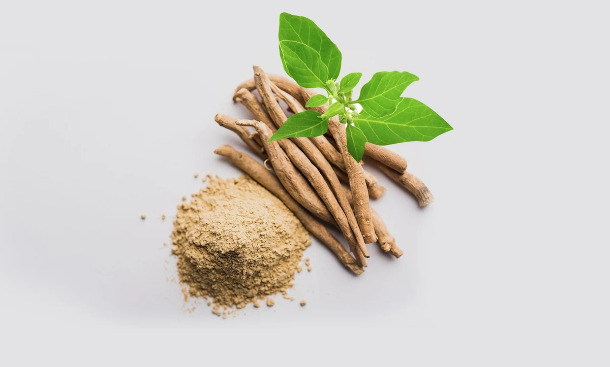 A pile of dried ashwagandha roots lies beside a small amount of ashwagandha powder. A branch with green leaves and small white flowers is also shown, emphasizing the natural source of this herbal supplement.